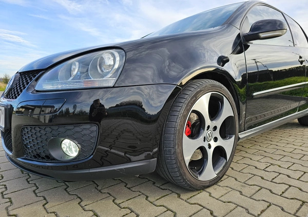 Volkswagen Golf cena 28500 przebieg: 250500, rok produkcji 2005 z Piwniczna-Zdrój małe 56